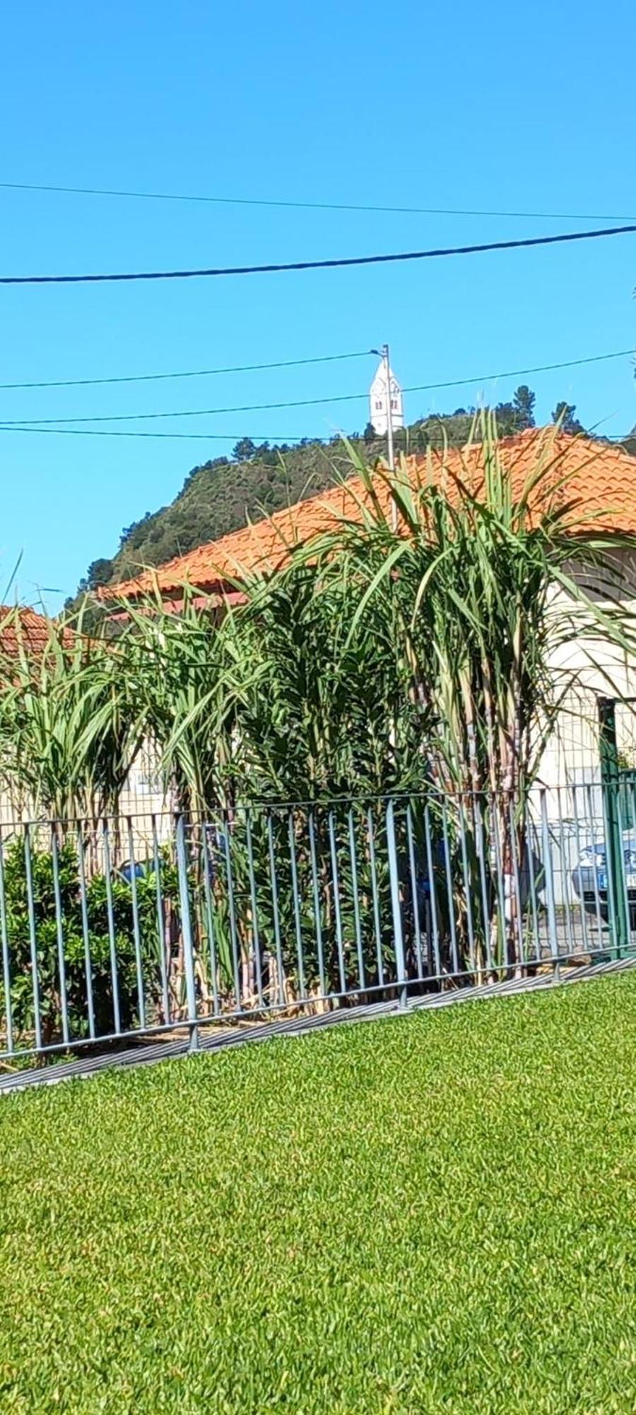 Refugio Do Limoeiro Villa São Vicente Buitenkant foto